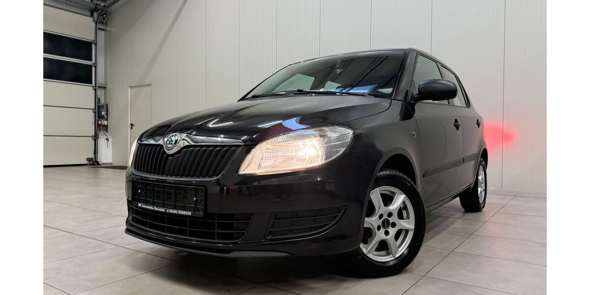 Skoda Fabia 212.460 km 2.490 &euro; Steinfeld 49439