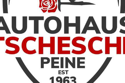 Renault ZOE 33.350 km 15.990 &euro; Peine 31226