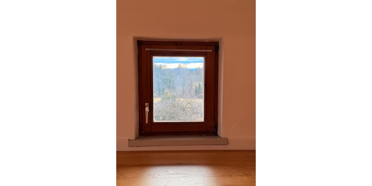 Etagenwohnung Icking - 1 Zimmer, 180 m&sup2;, 990&euro; | Angebot:24918075