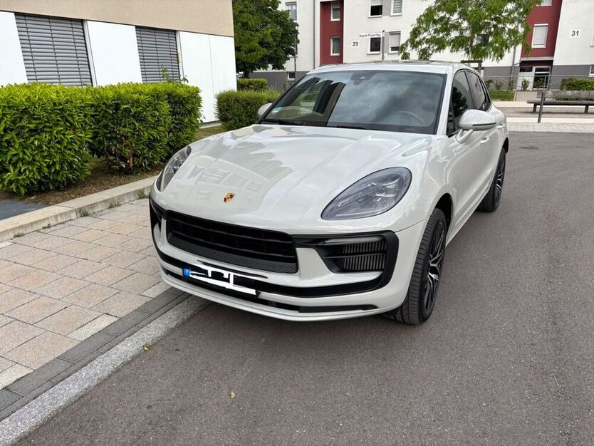 Macan