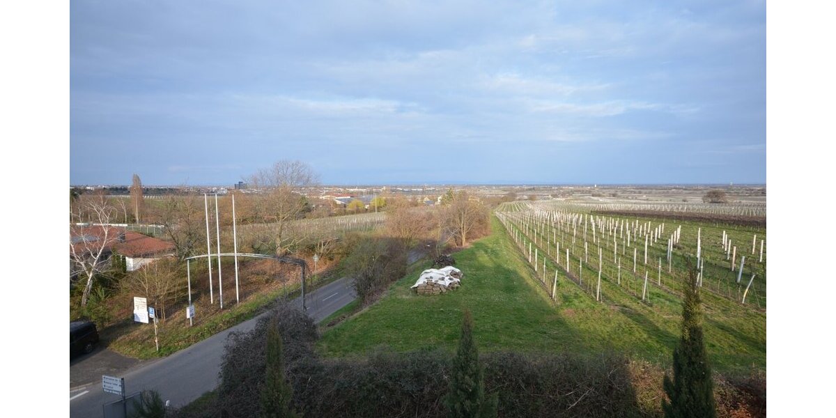 Eine traumhafte, lichtdurchflutete Penthouse-Wohnung mitten in den Weinbergen. - Einfamilienhaus Neustadt an der Weinstraße Hambach | Angebot:25611879