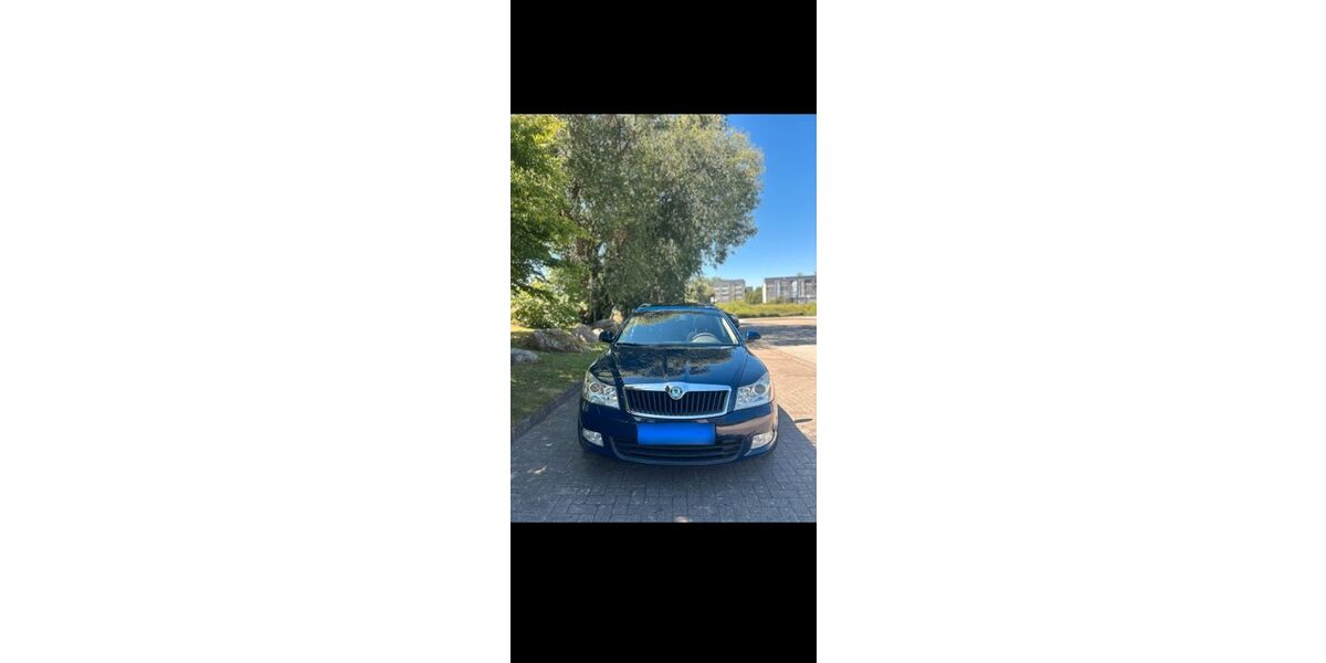 Skoda Octavia 222.000 km 4.390 &euro; Karlsburg 17495