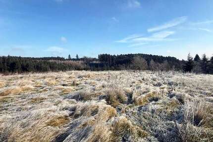 Grundstück zu verkaufen in Altfraunhofen 67.500 € 2471.12 m² zimmer