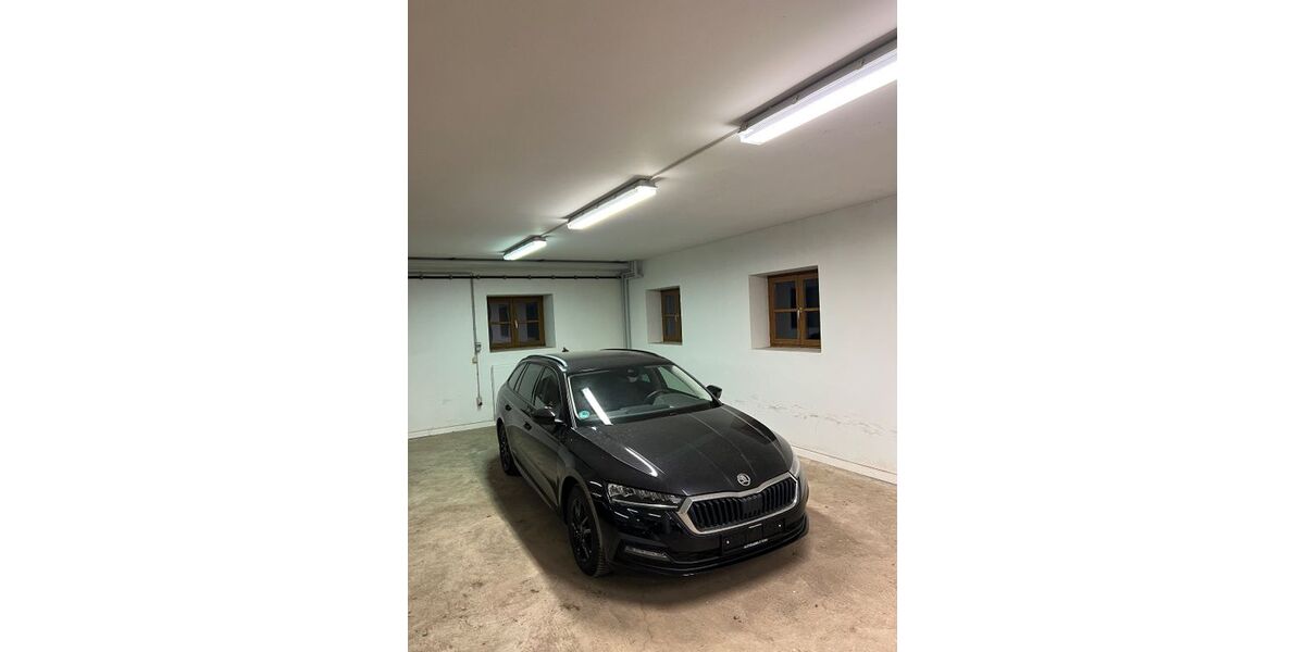 Skoda Octavia 167.000 km 14.199 &euro; Grafing bei München 85567