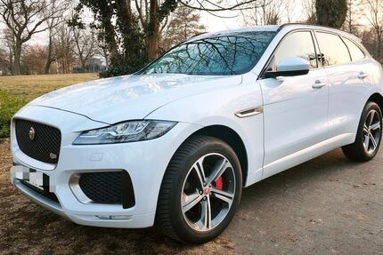 Jaguar F-Pace 121.943 km 19.000 &euro; Fürstenwalde 15517