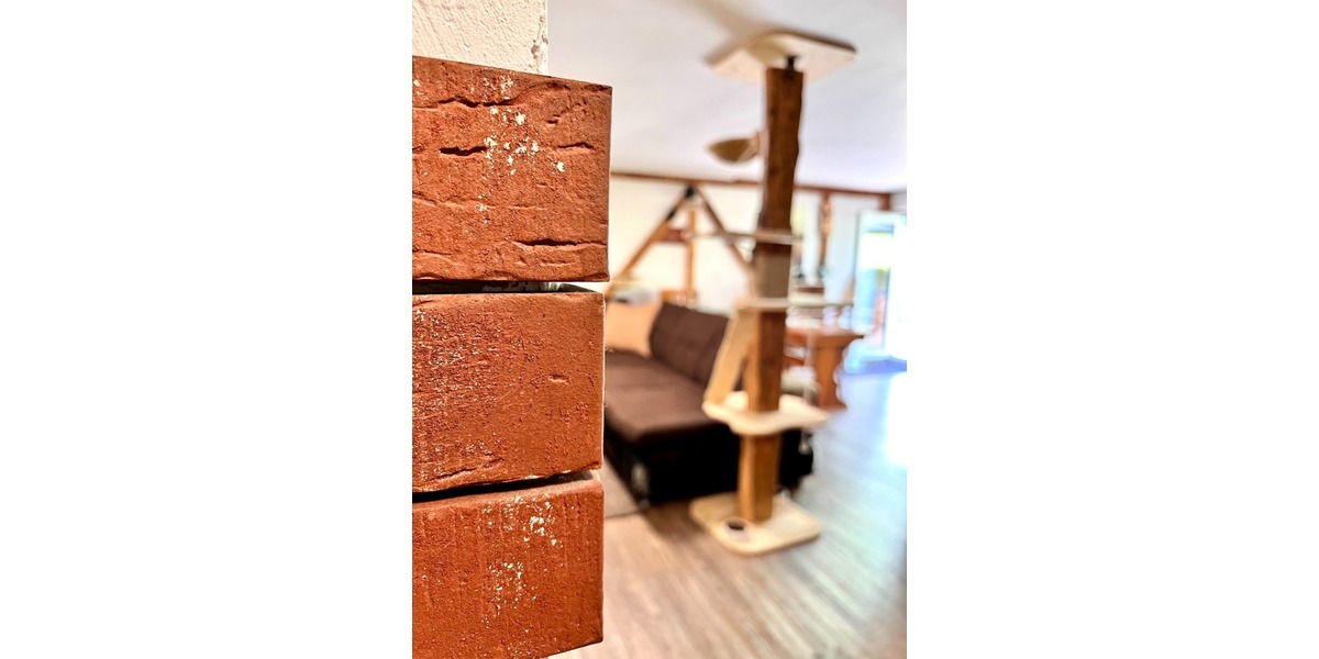 ***Verkauft *** Zauberhafte Wohnung mit eigenem Eingang und großer Terrasse in Rheinheim! - Terrassenwohnung Rheinheim Rheinheim | Angebot:20772675