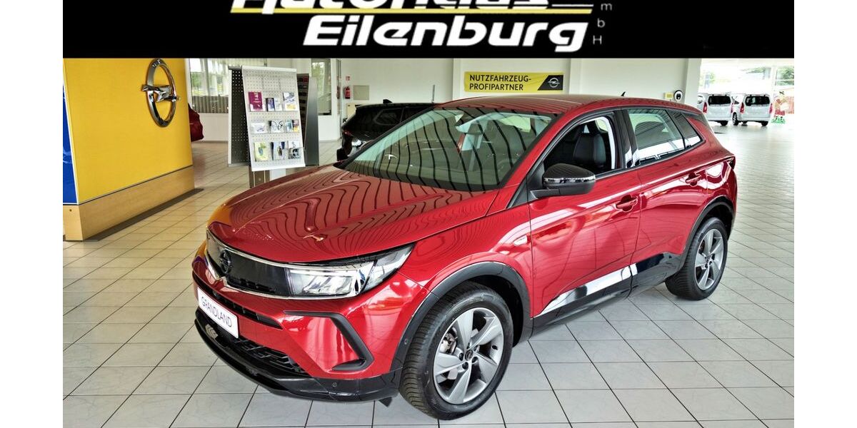 Opel Grandland (X) 16.300 km 21.290 &euro; Eilenburg 04838