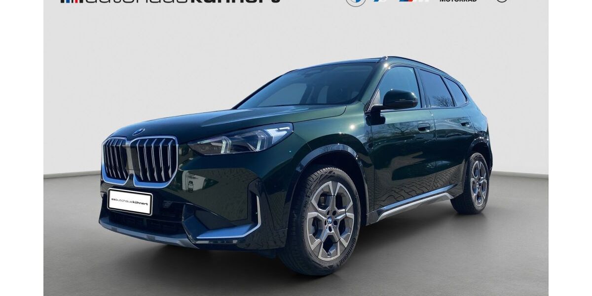BMW X1 8.411 km 44.885 &euro; Windischleuba 04603