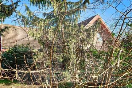 Haus Ratekau - 9 Zimmer, 270 m&sup2;, 698.000&euro; | Angebot:26331696