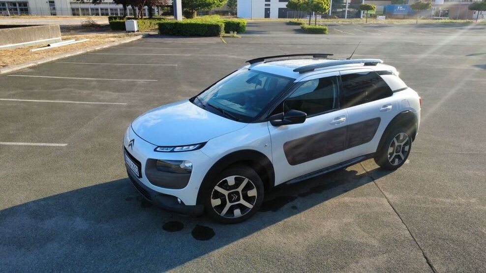 C4 Cactus