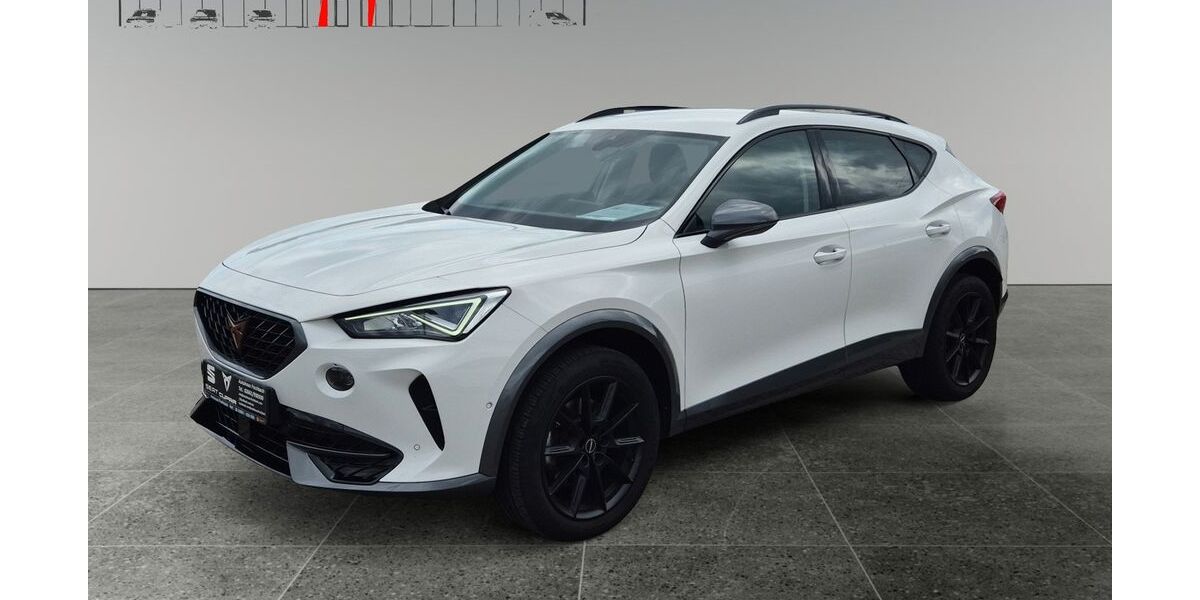 Cupra Formentor 51.500 km 25.950 &euro; Hof 56472