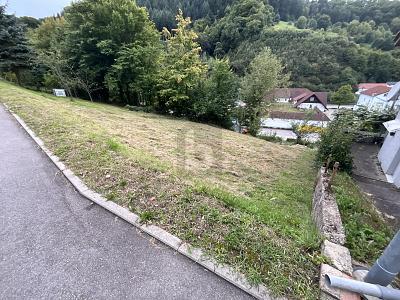 SCHÖNE AUSSICHTEN FÜR EIN GEMEINSAMES ZUHAUSE - Grundstück Weisenbach | Angebot:26340435