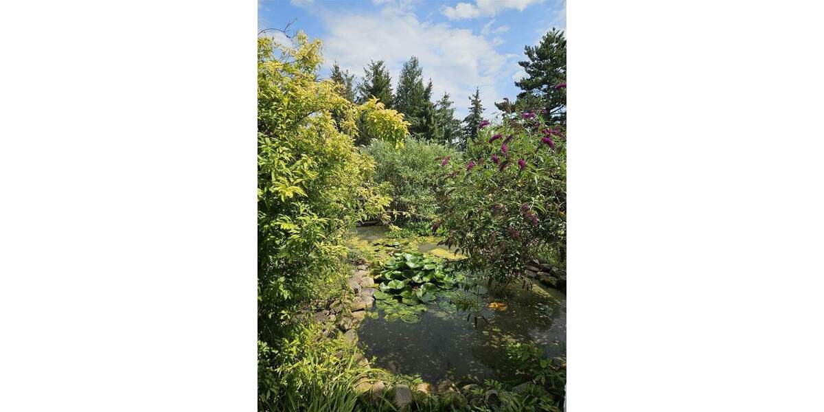 Doppelhaushälfte Zschornewitz Zschornewitz - 5 Zimmer, 110 m&sup2;, 93.500&euro; | Angebot:25726207