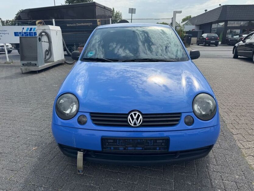 Lupo