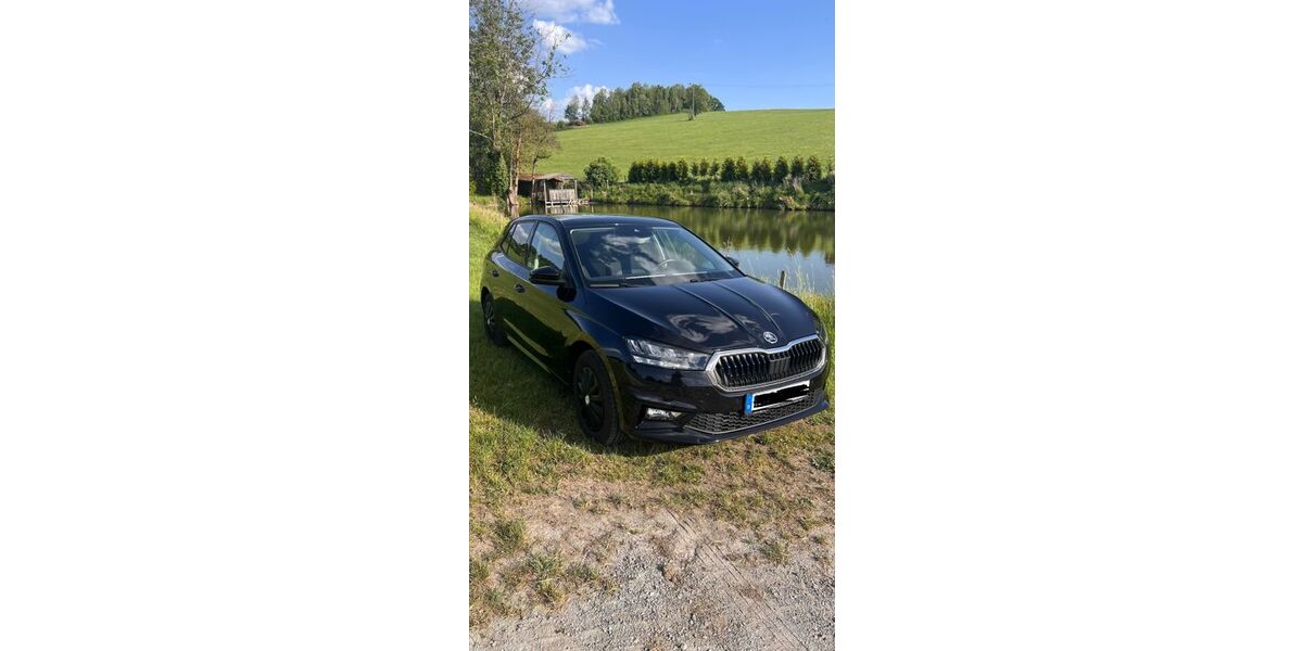 Skoda Fabia 12.000 km 19.500 &euro; Waldkirchen 94065