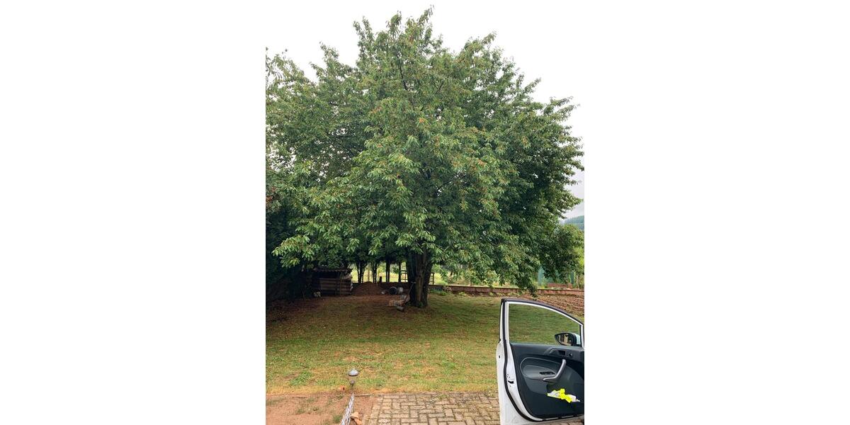 Einfamilienhaus Osann-Monzel Monzel - 5 Zimmer, 160 m&sup2;, 1.000&euro; | Angebot:26096213