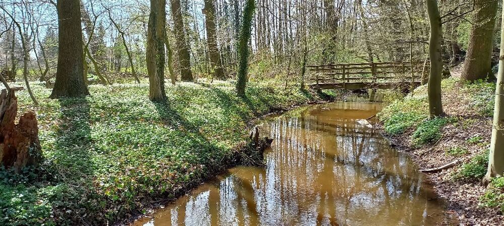 Achtung: Neubau einer Seniorengerechten DHH mit Stil und Qualität Erstbezug; 2026 - Doppelhaushälfte Steyerberg | Angebot:25925772