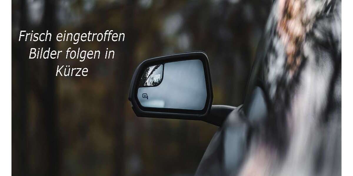 Renault ZOE 17.236 km 12.490 &euro; Brandenburg 14772