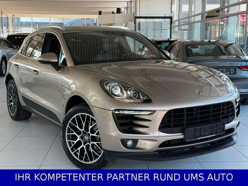 Macan