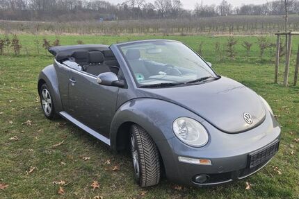 VW New Beetle 161.227 km 4.799 &euro; Mülheim Kärlich 56218