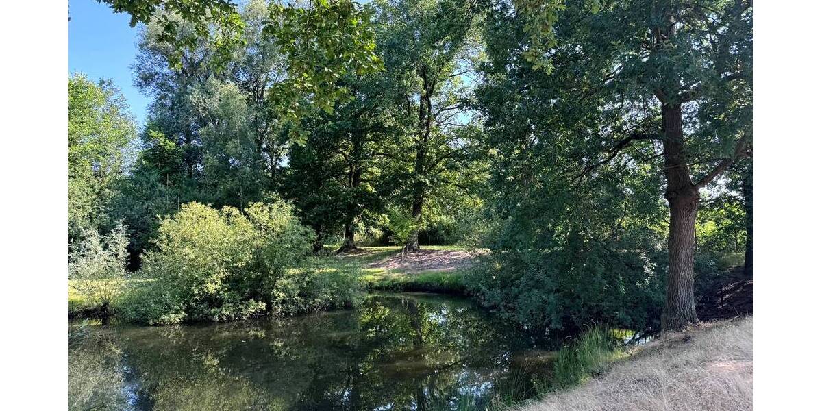 Grundstück Werben (Elbe) Behrendorf - 20.000&euro; | Angebot:25666227