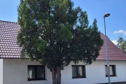 Haus Gorden-Staupitz Gorden - 6 Zimmer, 120 m&sup2;, 169.000&euro; | Angebot:25743629