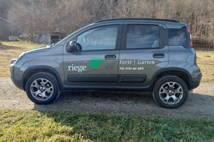 Fiat Panda 64.243 km 17.000 &euro; Argenbühl 88260