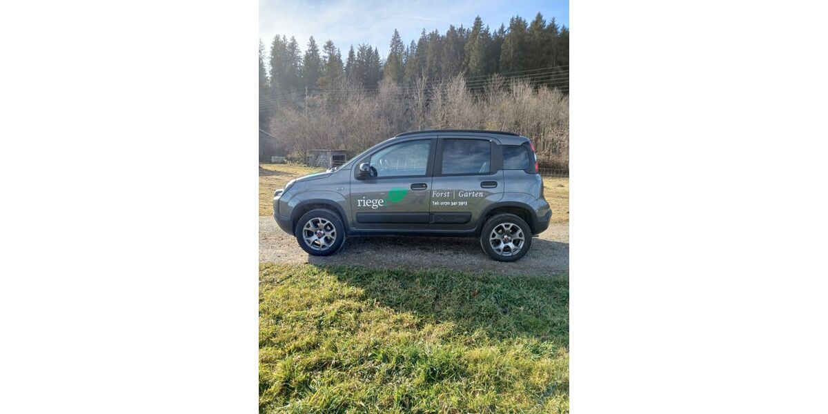 Fiat Panda 64.243 km 17.000 &euro; Argenbühl 88260