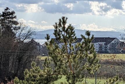 Mietwohnung: Schöne 3 12 Zi.-OG-Wohnung, in 88045 FN am Bodensee
