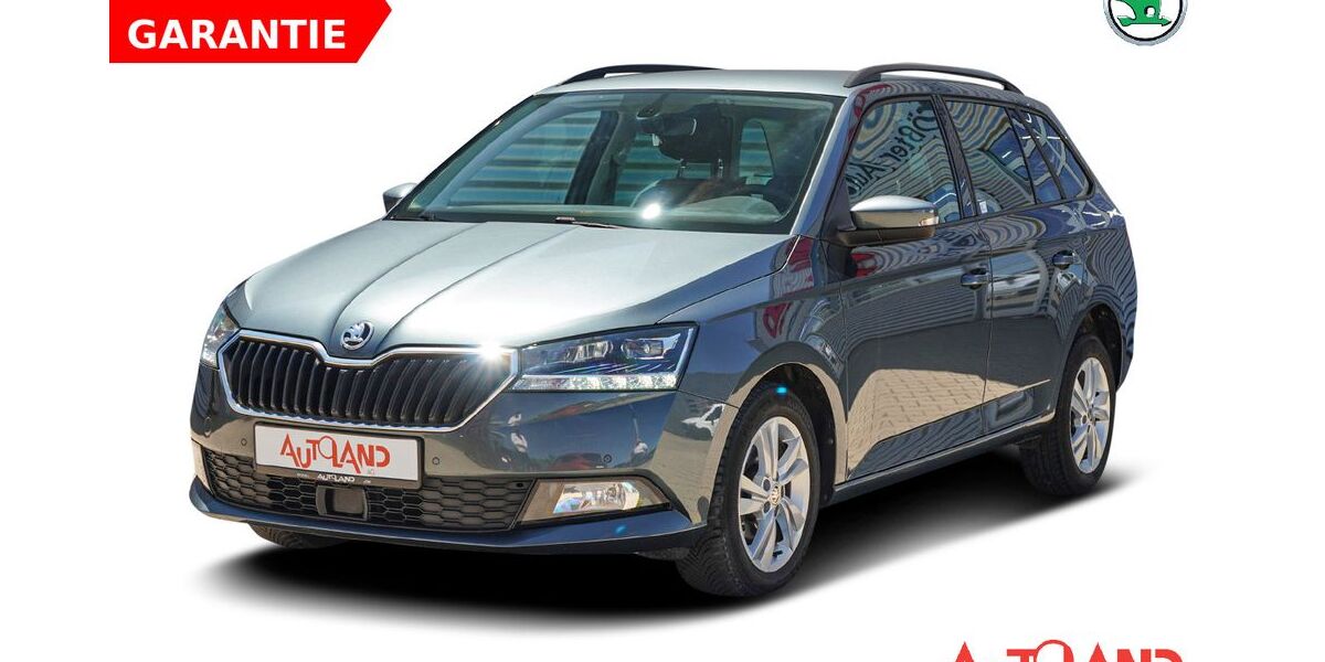 Skoda Fabia 56.952 km 16.950 &euro; Magdeburg 39118
