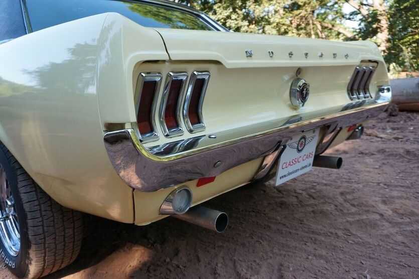 Mustang
