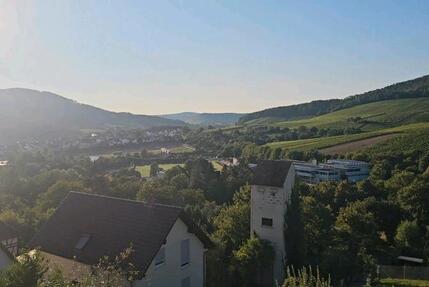 Helle neu renovierte 4-Zimmer Wohnung mit Balkon in Hohenhaslach