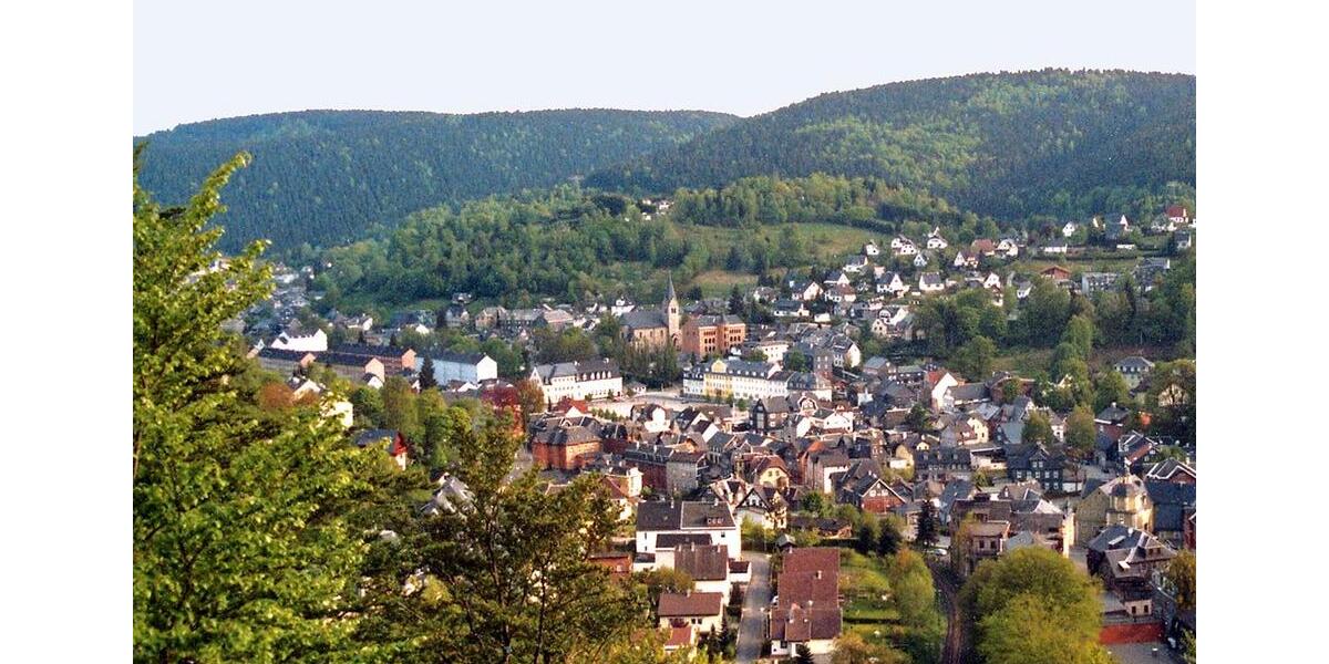 Mehrfamilienhaus, Wohnhaus Steinach - 10 Zimmer, 472 m&sup2;, 350.000&euro; | Angebot:26419460