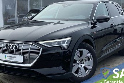 Audi e-tron 23.777 km 26.948 &euro; Schrobenhausen-Edelshsn. 86529
