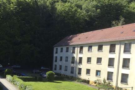 Wohnung Prossen Prossen - 2 Zimmer, 51 m&sup2;, 260&euro; | Angebot:25446534