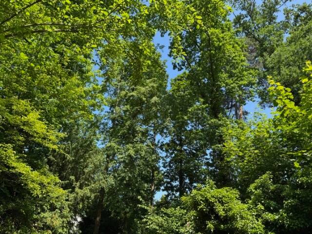 Grundstück Machern - 184.000&euro; | Angebot:23986549