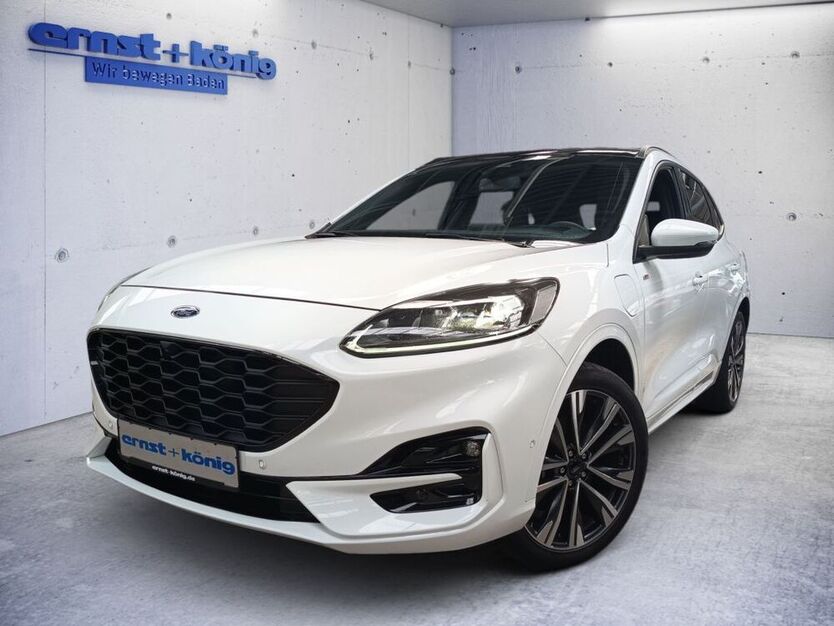 Kuga
