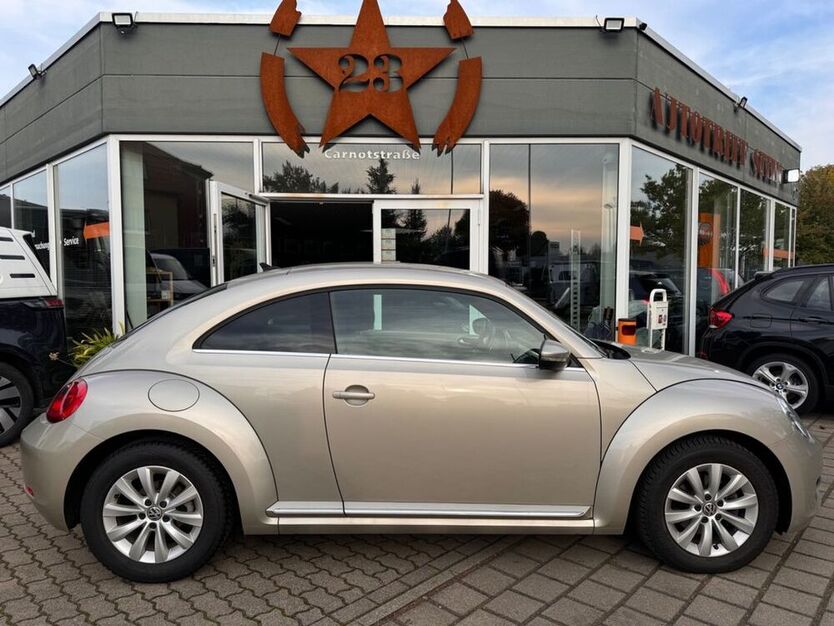 Beetle
