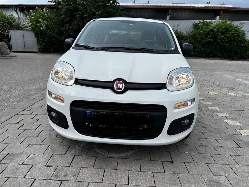 Panda