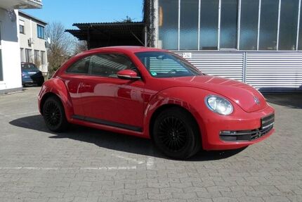 VW Beetle