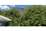 Doppelhaushälfte Celle Bostel - 4 Zimmer, 103 m&sup2;, 295.000&euro; | Angebot:27089281
