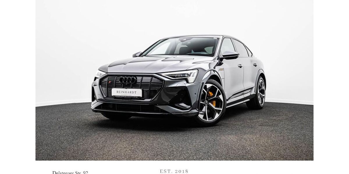 Audi e-tron 87.099 km 38.480 &euro; Hagen 58091