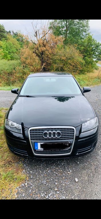 A3