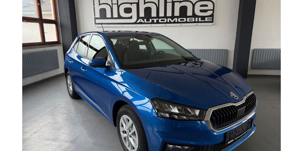 Skoda Fabia 1.800 km 17.890 &euro; Balingen 72336