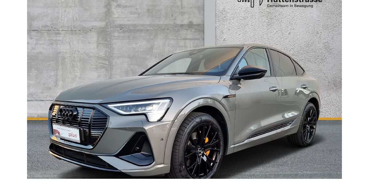 Audi e-tron 25.507 km 39.870 &euro; Halle (Saale) 06110