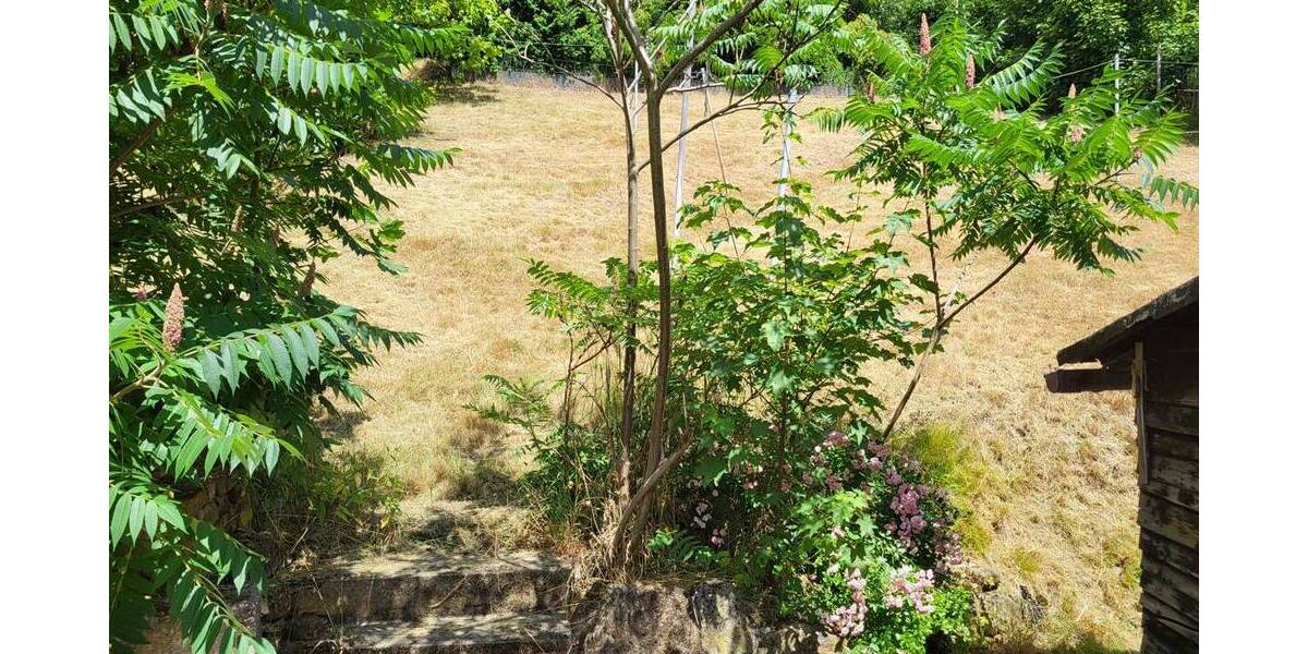 Einfamilienhaus Bannewitz - 5 Zimmer, 158 m&sup2;, 494.990&euro; | Angebot:25970329