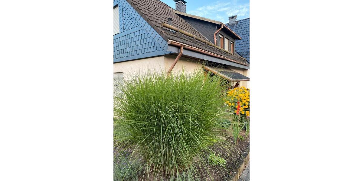 Einfamilienhaus Netphen - 6 Zimmer, 120 m&sup2;, 310.000&euro; | Angebot:25052872