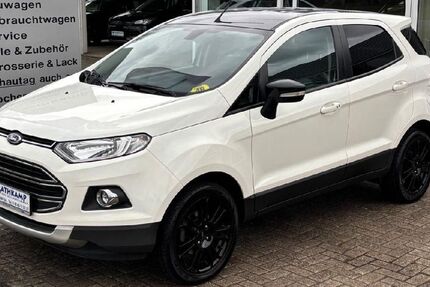 Ford EcoSport 110.800 km 9.500 &euro; Syke 28857