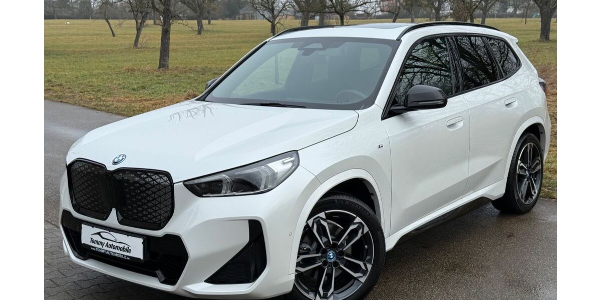 BMW iX1 40.000 km 43.900 &euro; Stuttgart 70599