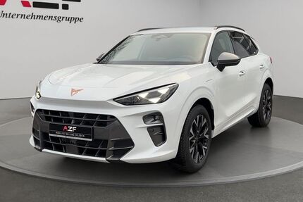 Cupra Terramar 15.000 km 39.990 &euro; Flensburg 24941